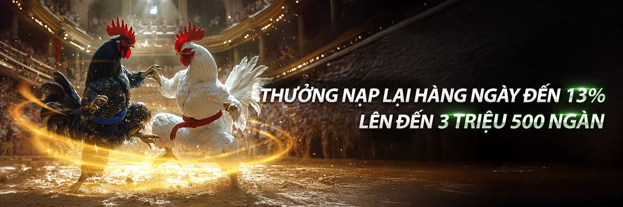 Tổng quan nền tảng đá gà Thomo truong ga thomo .net