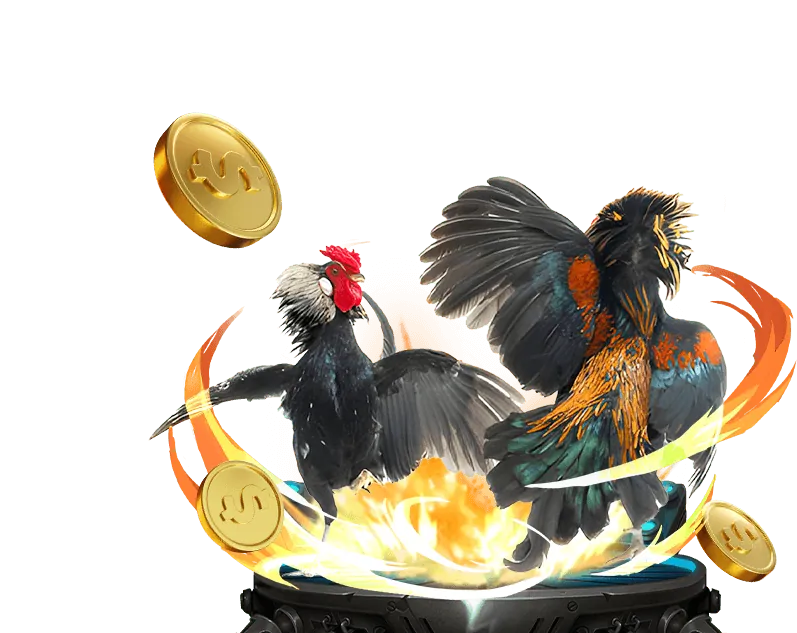 Mẹo cá cược thể thao, casino và slot games